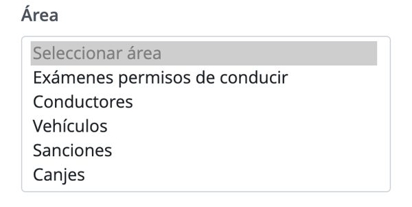 Cita previa DGT Cádiz: áreas Exámenes permisos de conducir, Conductores, Vehículos, Sanciones, Canjes